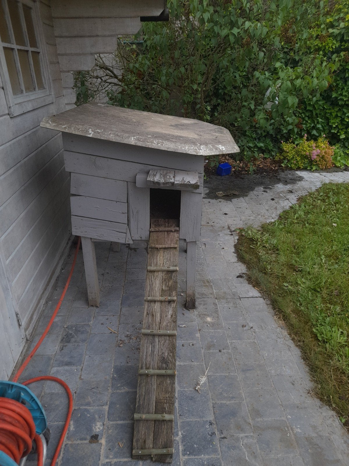 Kippenhok, Dieren en Toebehoren, Ophalen