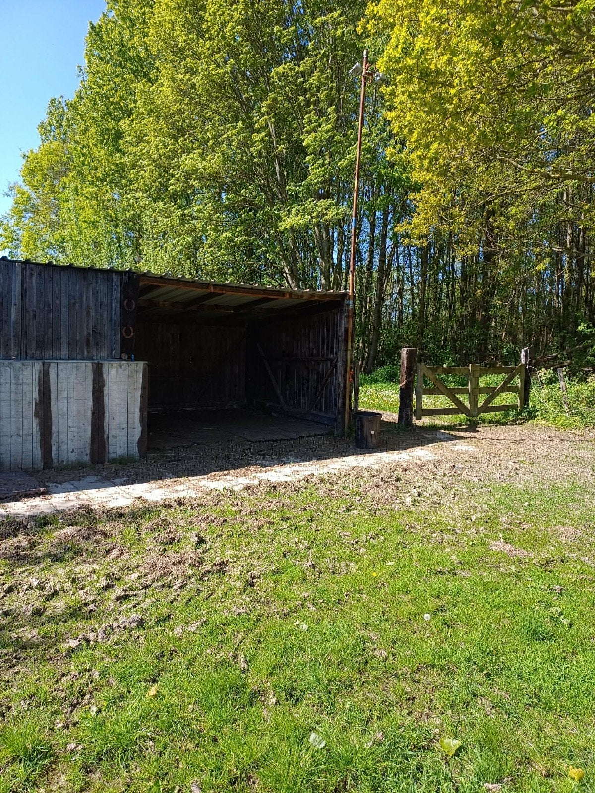 weide te huur, Mise à l'étable
