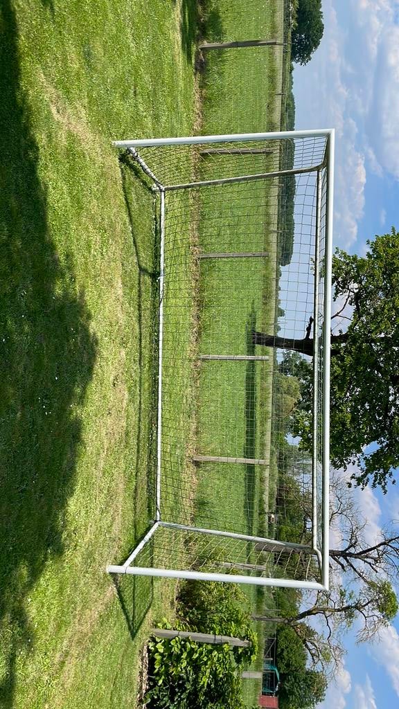 Goal zeer degelijk 4 x 2 meter, Ophalen, Zo goed als nieuw