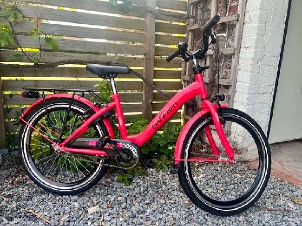 Alpina Girlpower 22inch meisjesfiets, Fietsen en Brommers, Ophalen, 22 inch, Gebruikt, Alpina