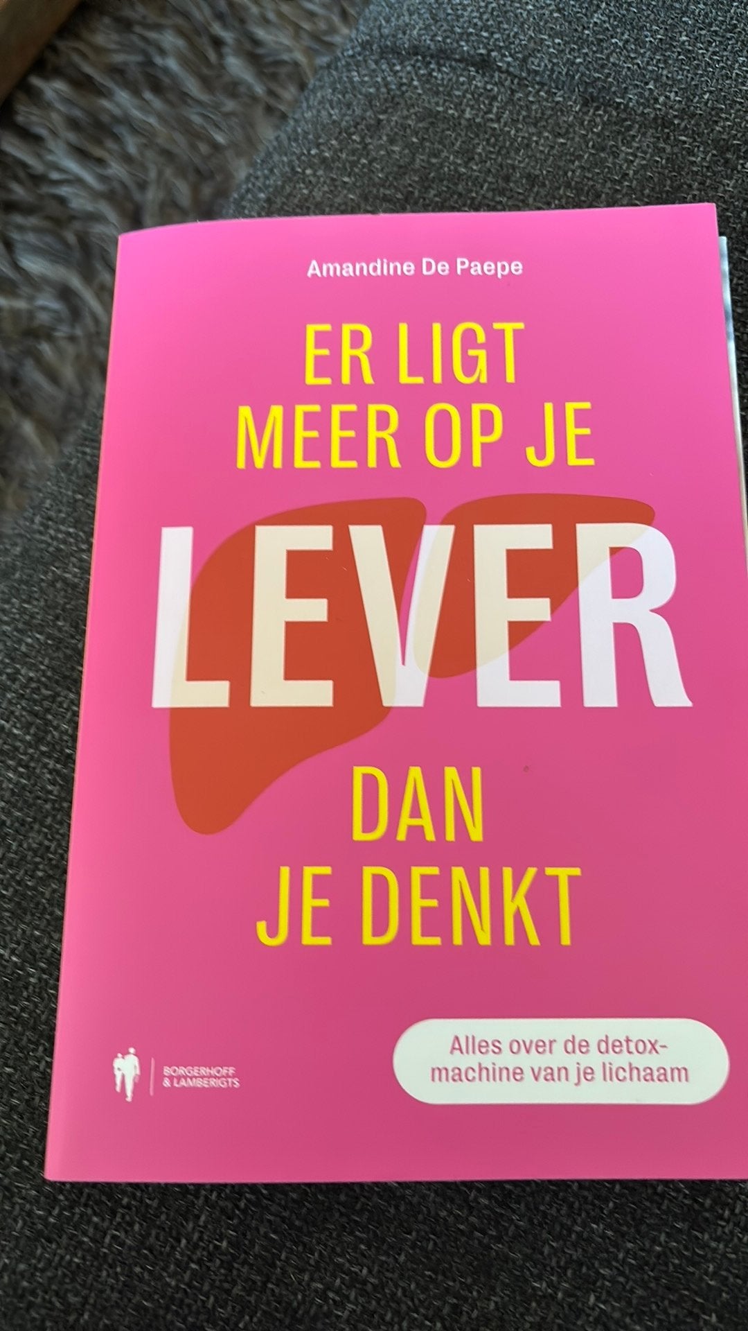 Er ligt meer op je lever dan je denkt, Livres, Conseil, Aide & Formation, Enlèvement ou Envoi, Neuf
