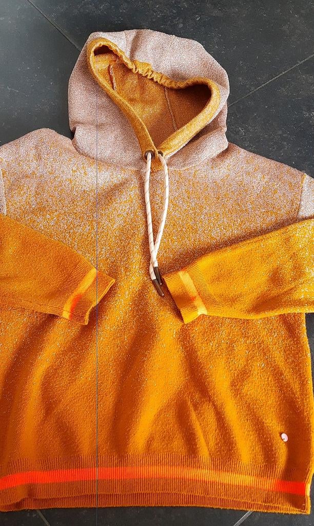 Sweater CKS 12jaar, Kinderen en Baby's, Kinderkleding | Maat 152, Ophalen of Verzenden, Zo goed als nieuw, Cks, Meisje