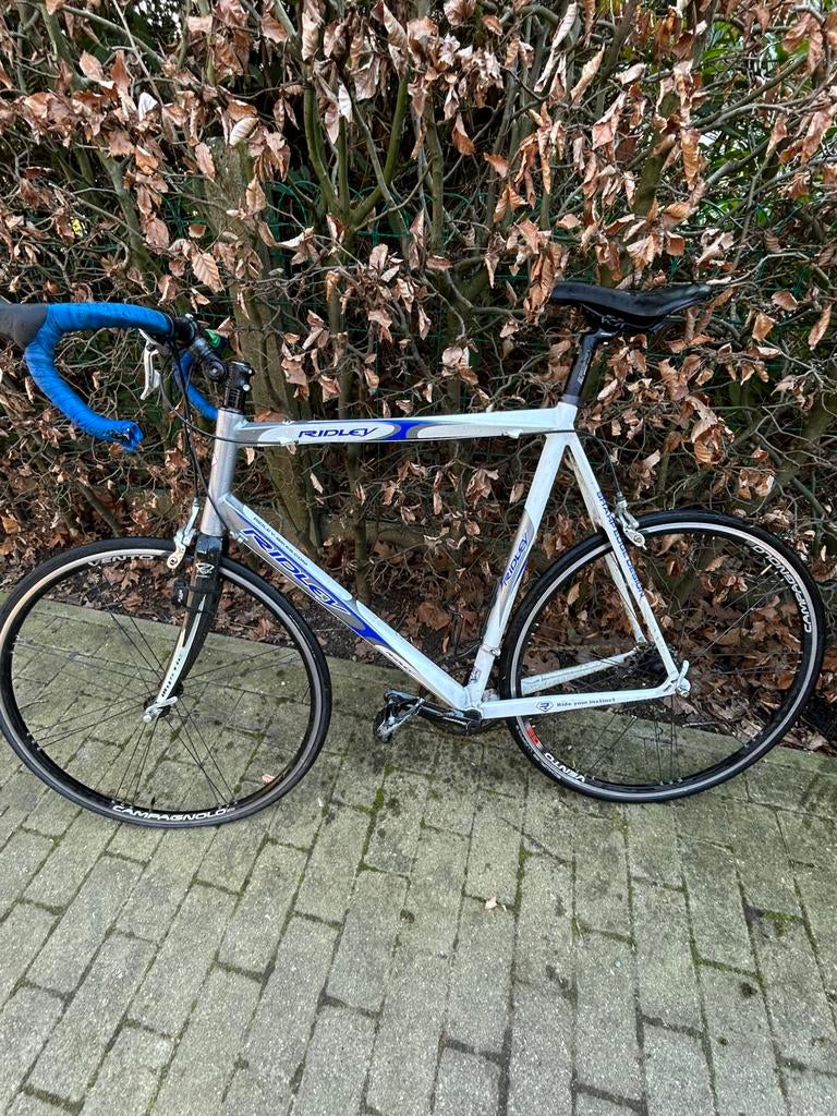 Chaîne dorée pour vélo de route Ridley 2014, Enlèvement, Utilisé, Moins de 10 vitesses, Autres marques