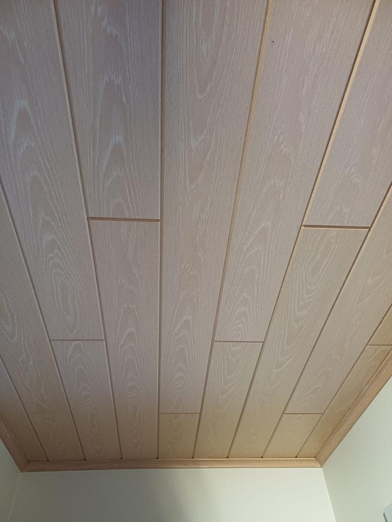 Plafond, Doe-het-zelf en Bouw, Platen en Panelen, Ophalen