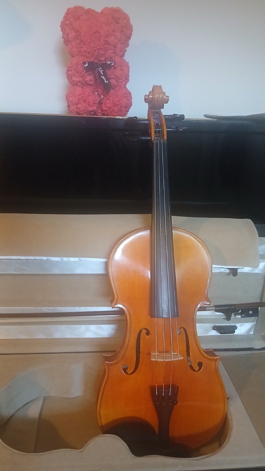 Viool Sandner 4/4 MC-4 - Nieuwstaat, Muziek en Instrumenten, Strijkinstrumenten | Violen en Altviolen, Ophalen, 4/4-viool, Met koffer