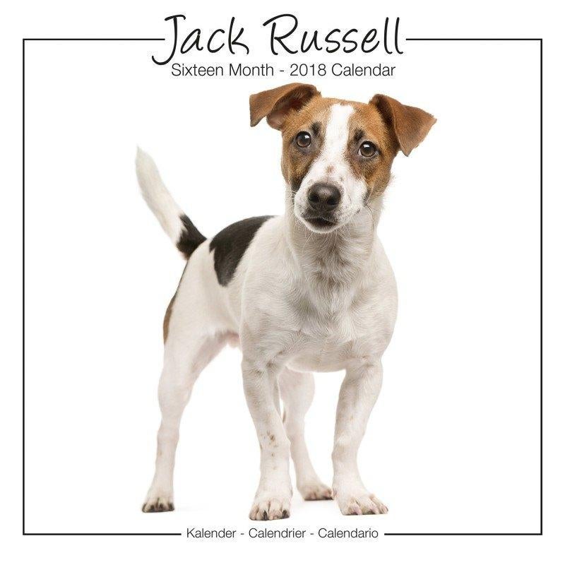 Jack Russell kalender 2018, Ophalen of Verzenden, Jaarkalender, Nieuw