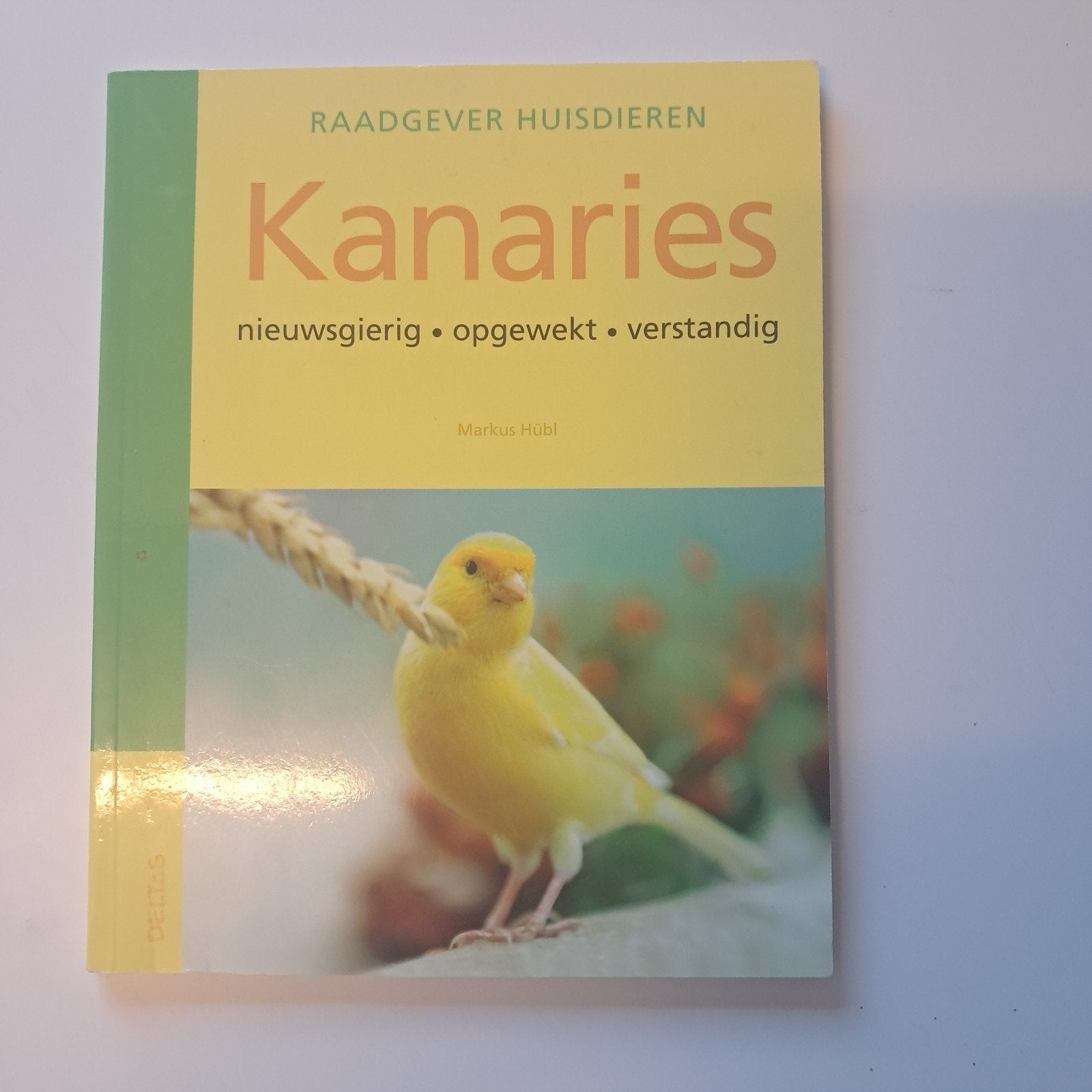 M. Hubl - Kanaries, Enlèvement ou Envoi, M. Hubl