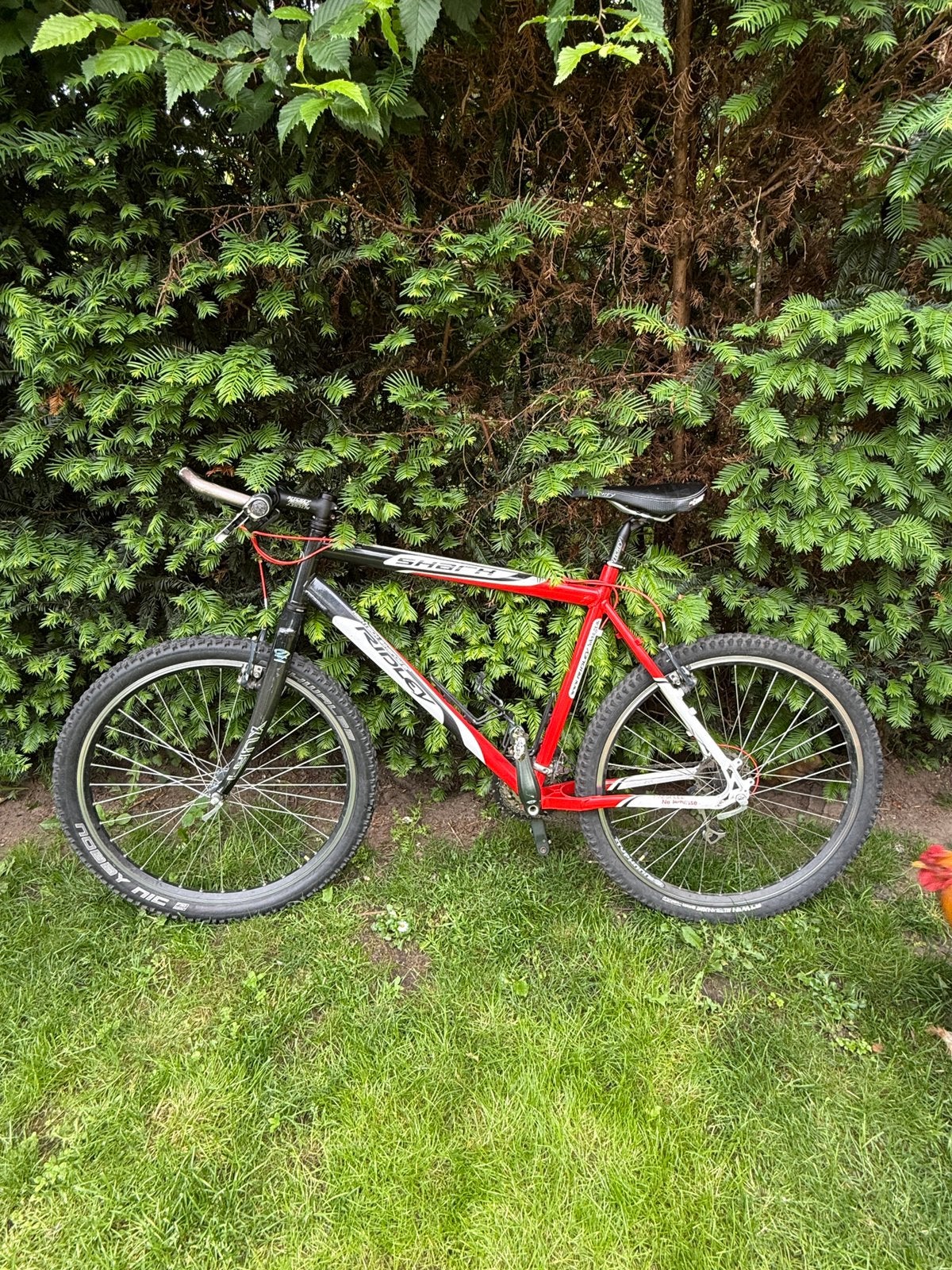 VTT Ridley Shark, Enlèvement, Utilisé
