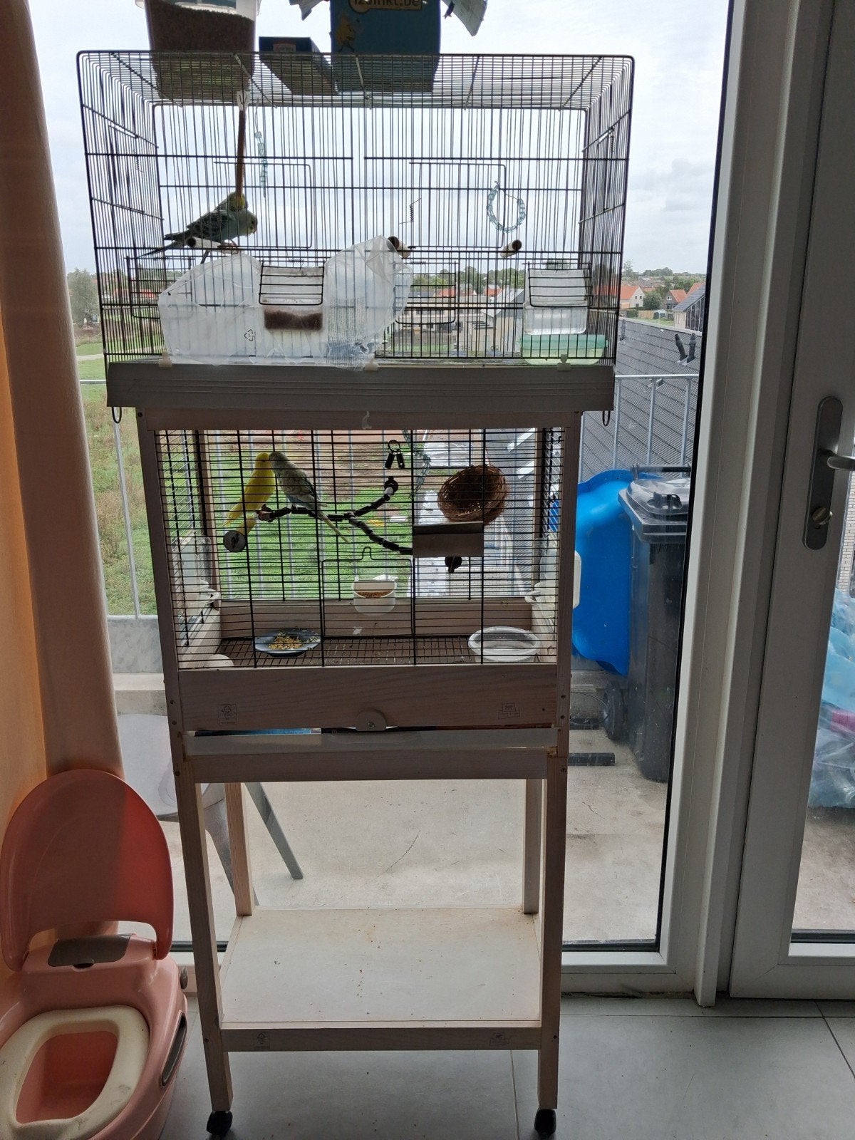 vogels plus kooi, Ophalen