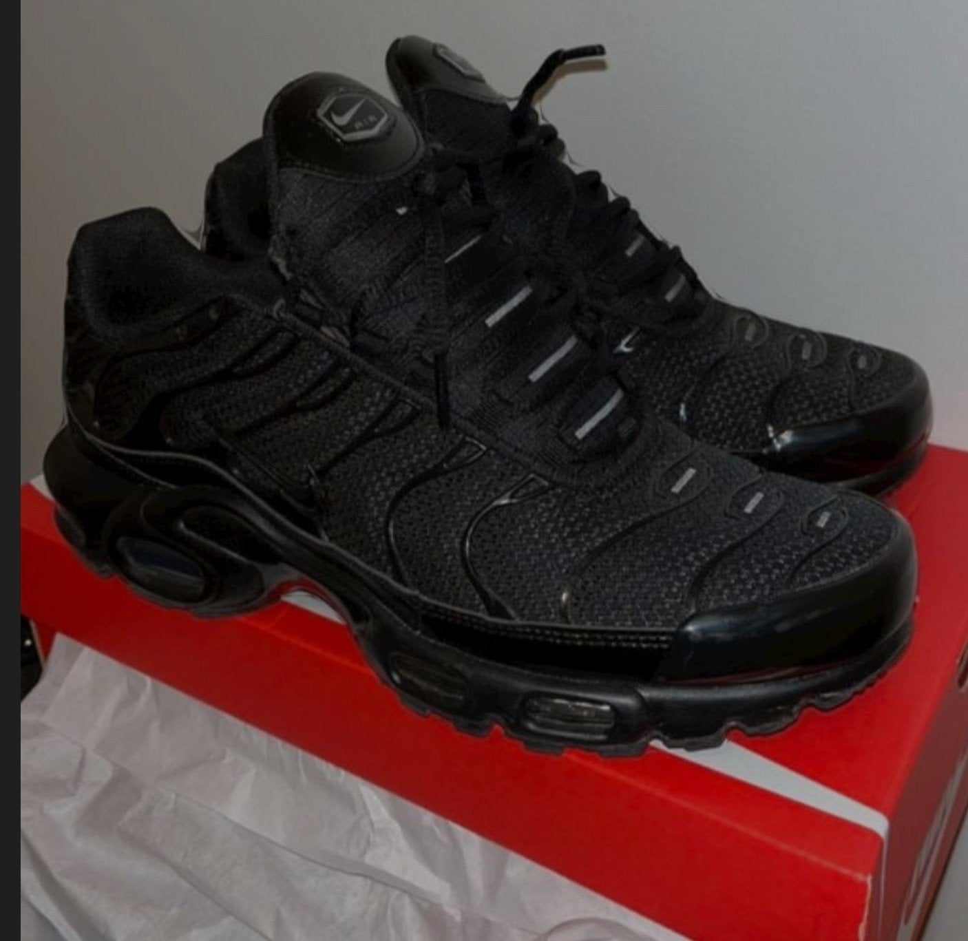 Baskets Air Max TN, Enlèvement ou Envoi, Baskets