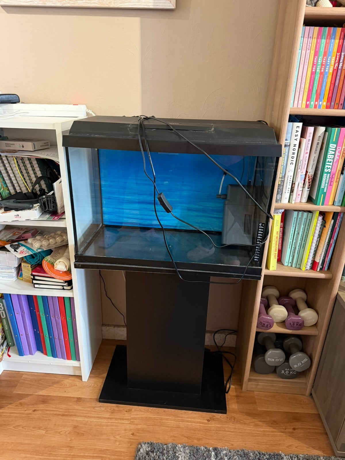 Aquarium met meubel, Dieren en Toebehoren, Ophalen, Zo goed als nieuw, Filter