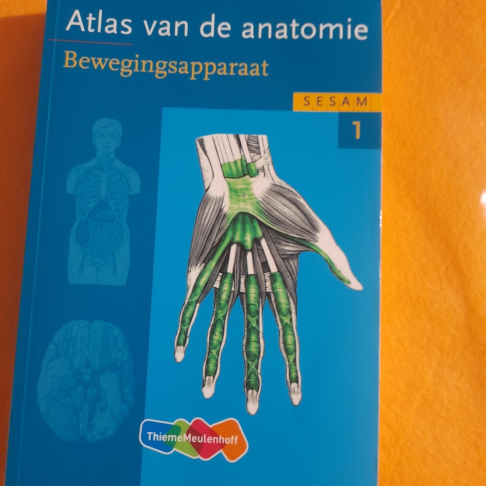 Atlas van de anatomie, Boeken, Ophalen