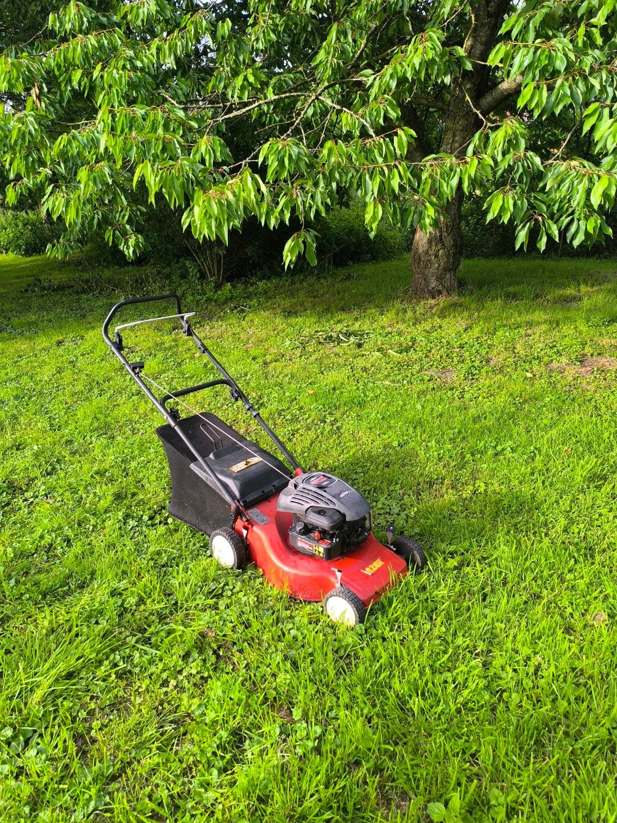 Briggs & Stratton 500-serie 158 cc grasmaaier op benzine - G, Ophalen, Gebruikt, Brigg's & stratton
