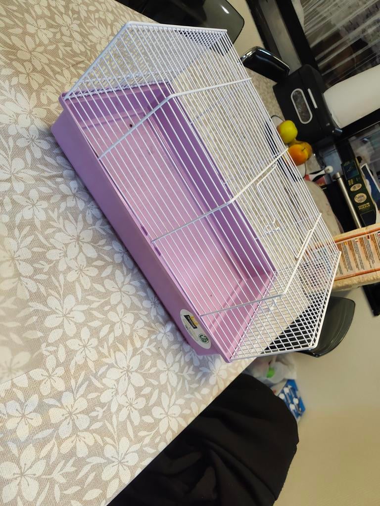 Hamsterkooi met houtvezel, Kooi, Minder dan 75 cm, Ophalen, Minder dan 60 cm