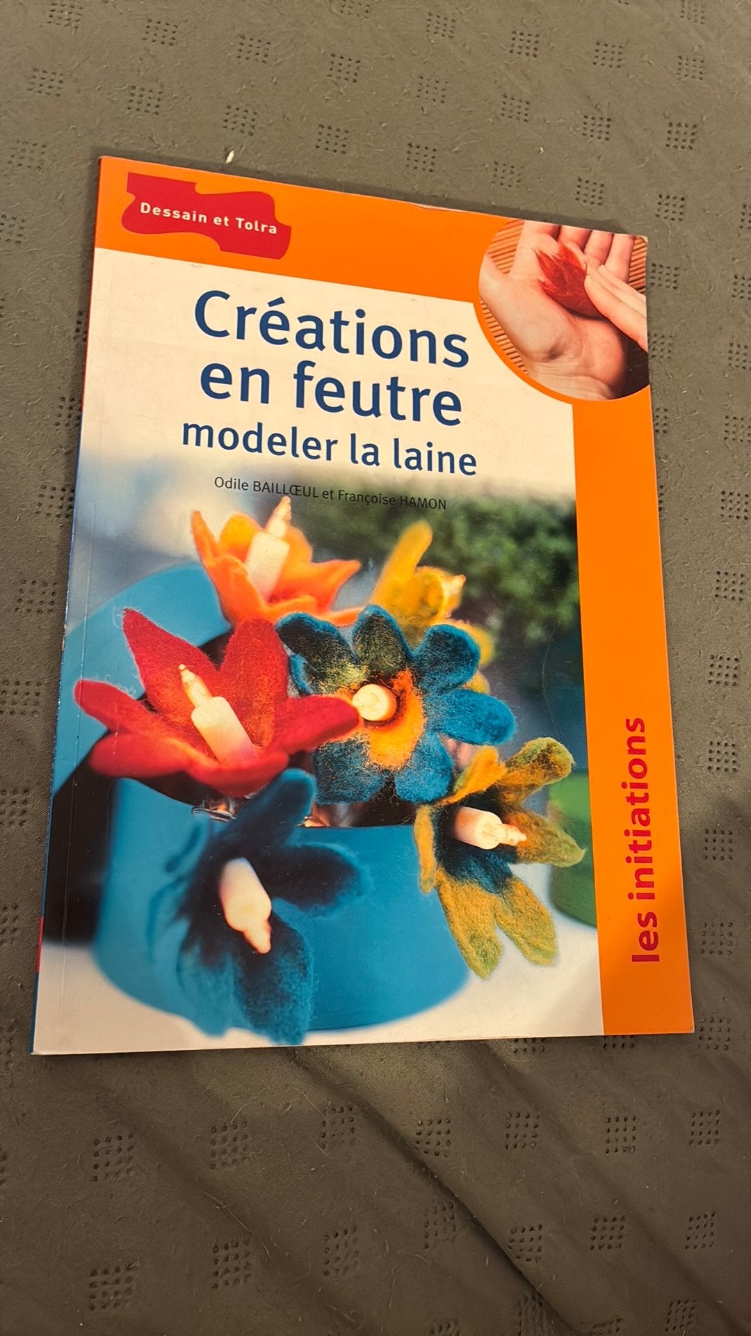Création feutre model laine, Livres, Enlèvement ou Envoi, Comme neuf
