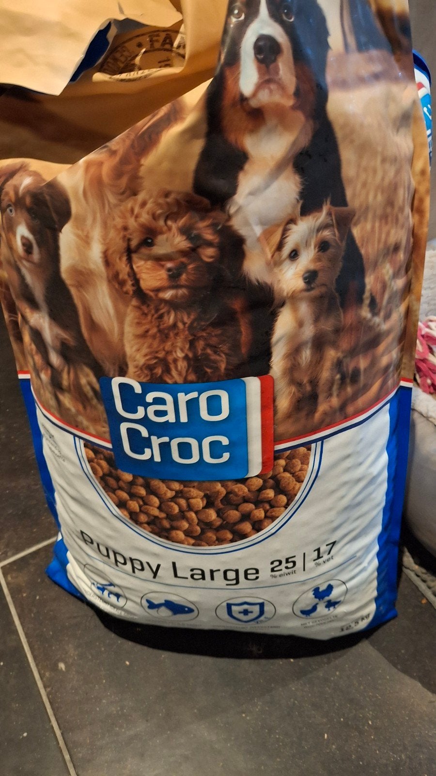 brokken puppy large caro croc, Ophalen, Hond