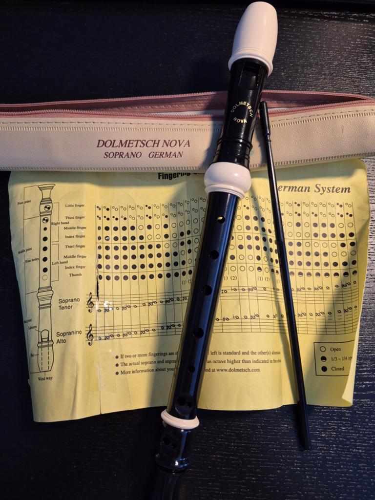 Dolmetsch Nova blokfluit, Muziek en Instrumenten, Blaasinstrumenten | Blokfluiten, Ophalen, Zo goed als nieuw, Sopraan of Sopranino