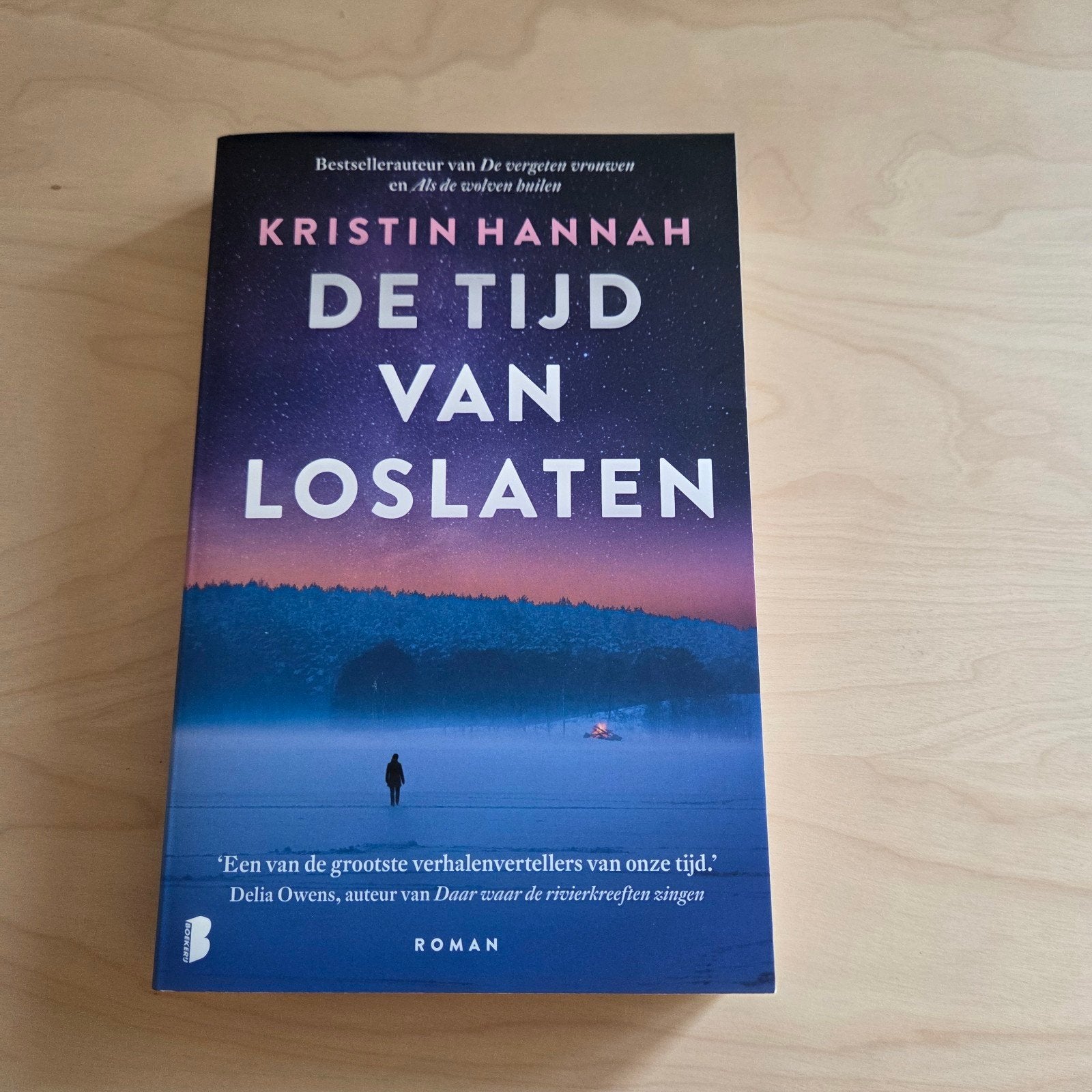Kristin Hannah - De tijd van loslaten, Ophalen, België, Zo goed als nieuw, Kristin Hannah