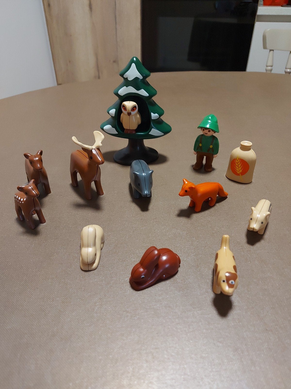 Boswachter, Enfants & Bébés, Jouets | Playmobil, Enlèvement ou Envoi
