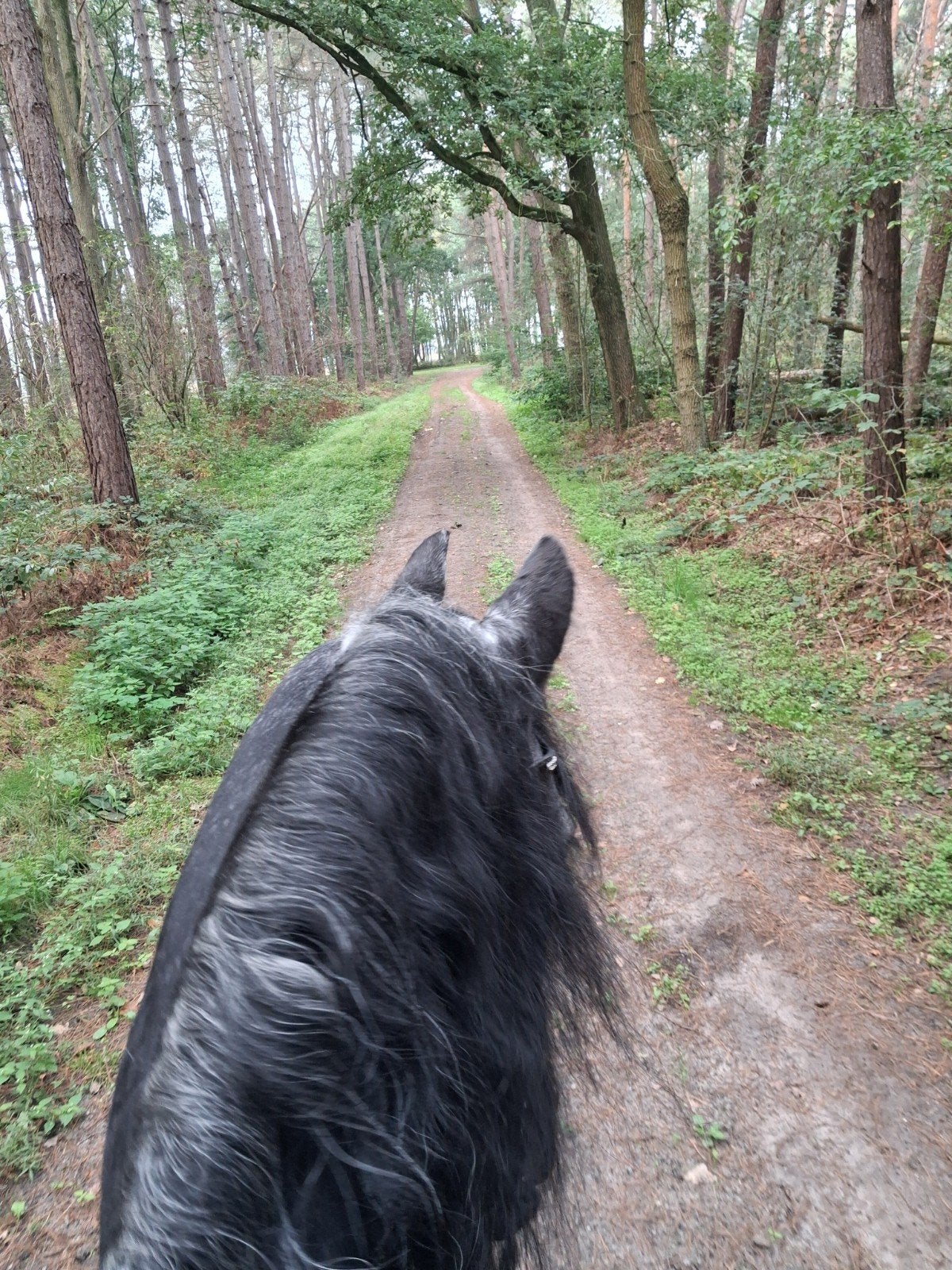 Pensioenplek aangeboden