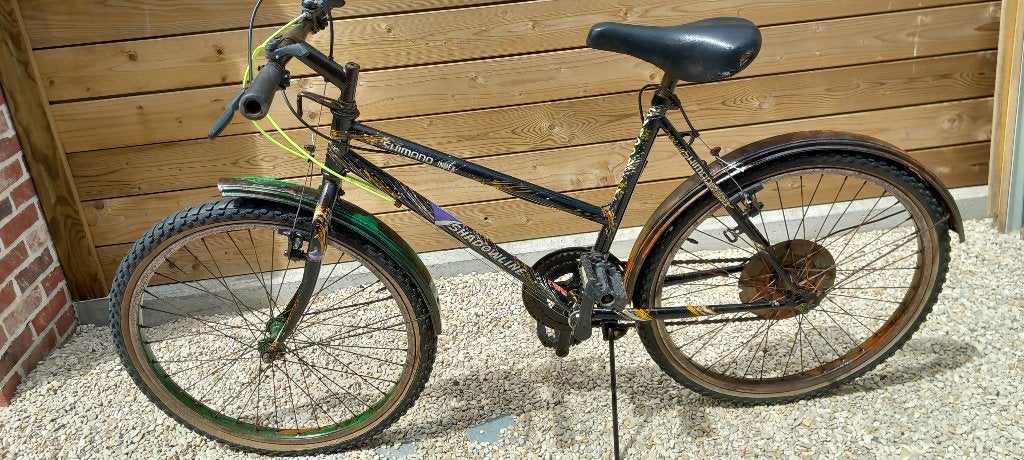 Mooie special paint fiets voor kinderen, volwassenen, Enlèvement
