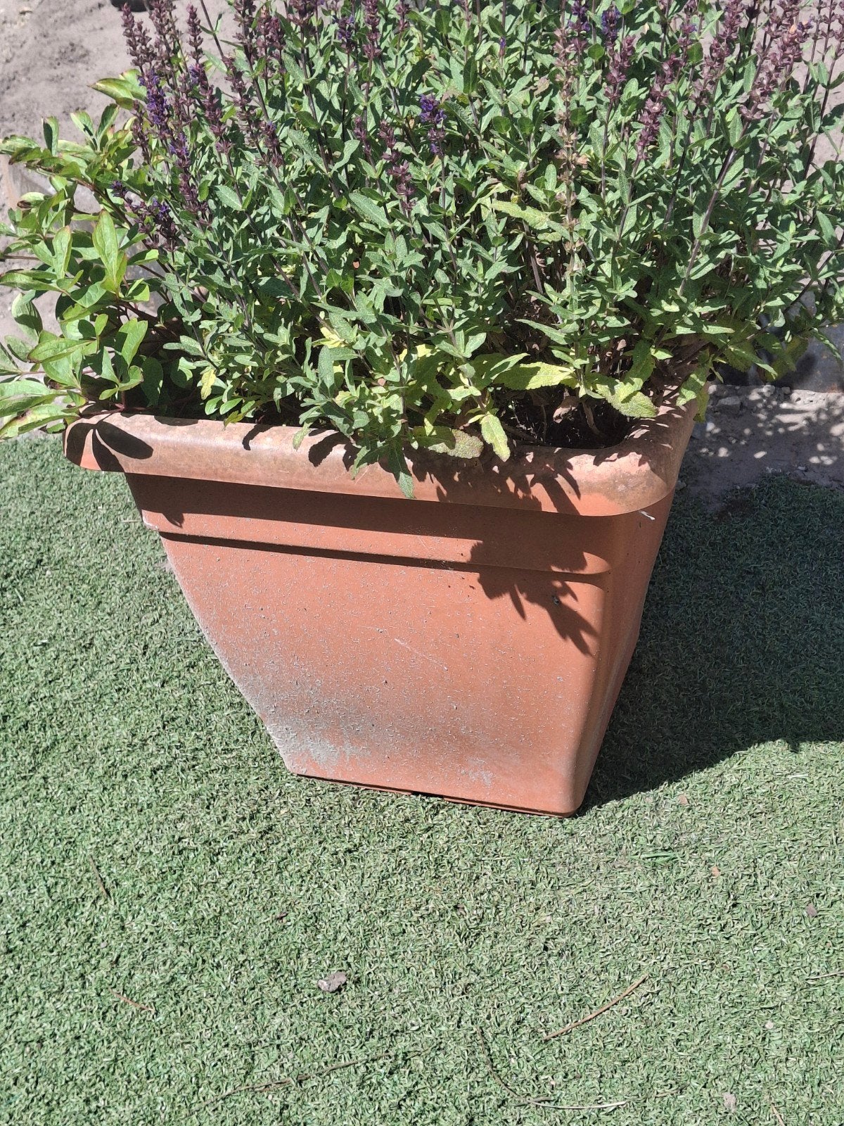 Planten pot plastiek vierkant, Ophalen, Vierkant