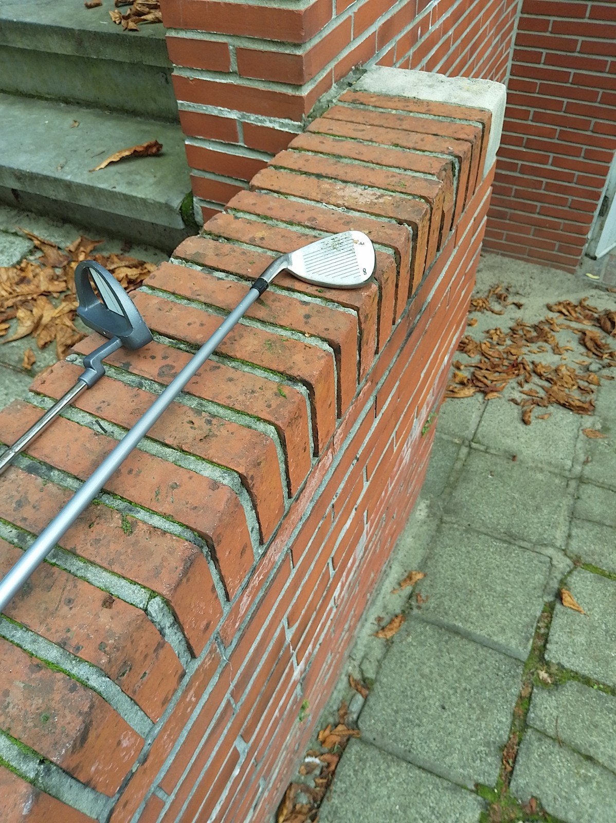 golfstick skymax ice ladies 8, Sport en Fitness, Ophalen, Gebruikt, Club, Overige merken