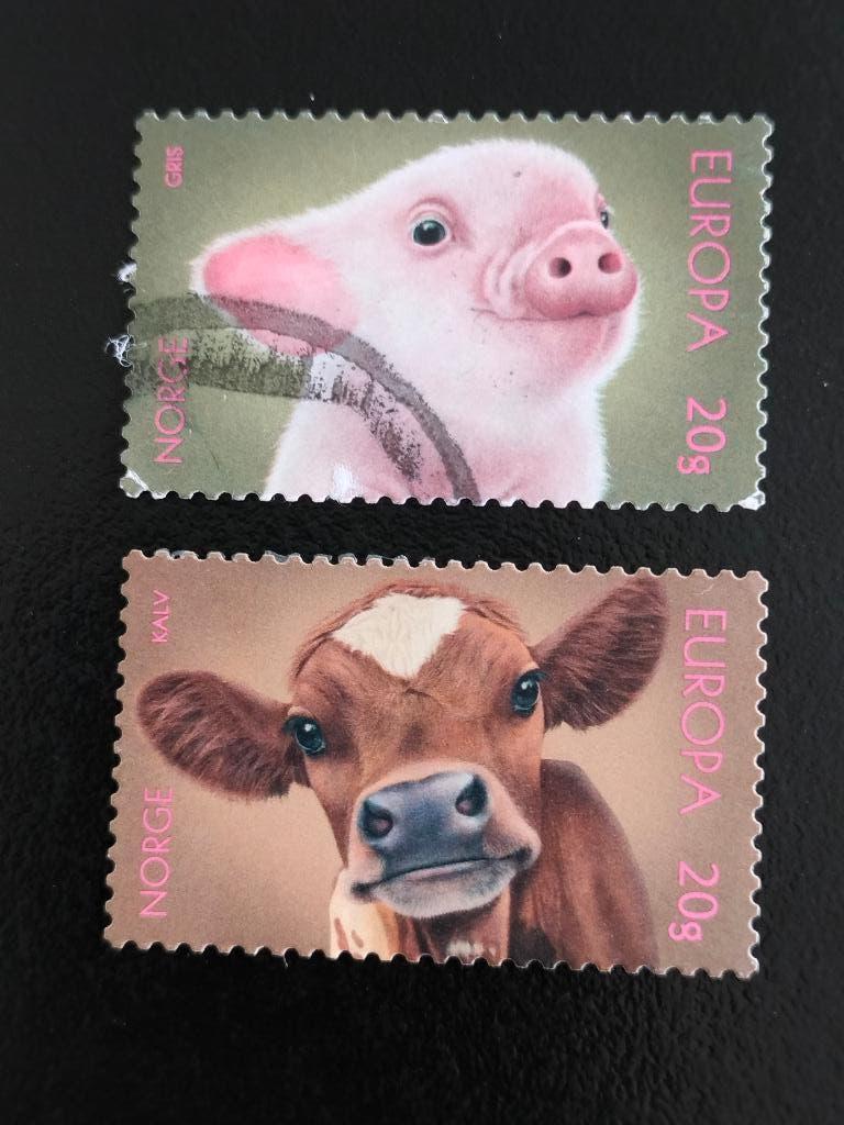 Norvège 2021 -  Europa CEPT, animaux de ferme, cochon, vache, Envoi, Norvège, Affranchi