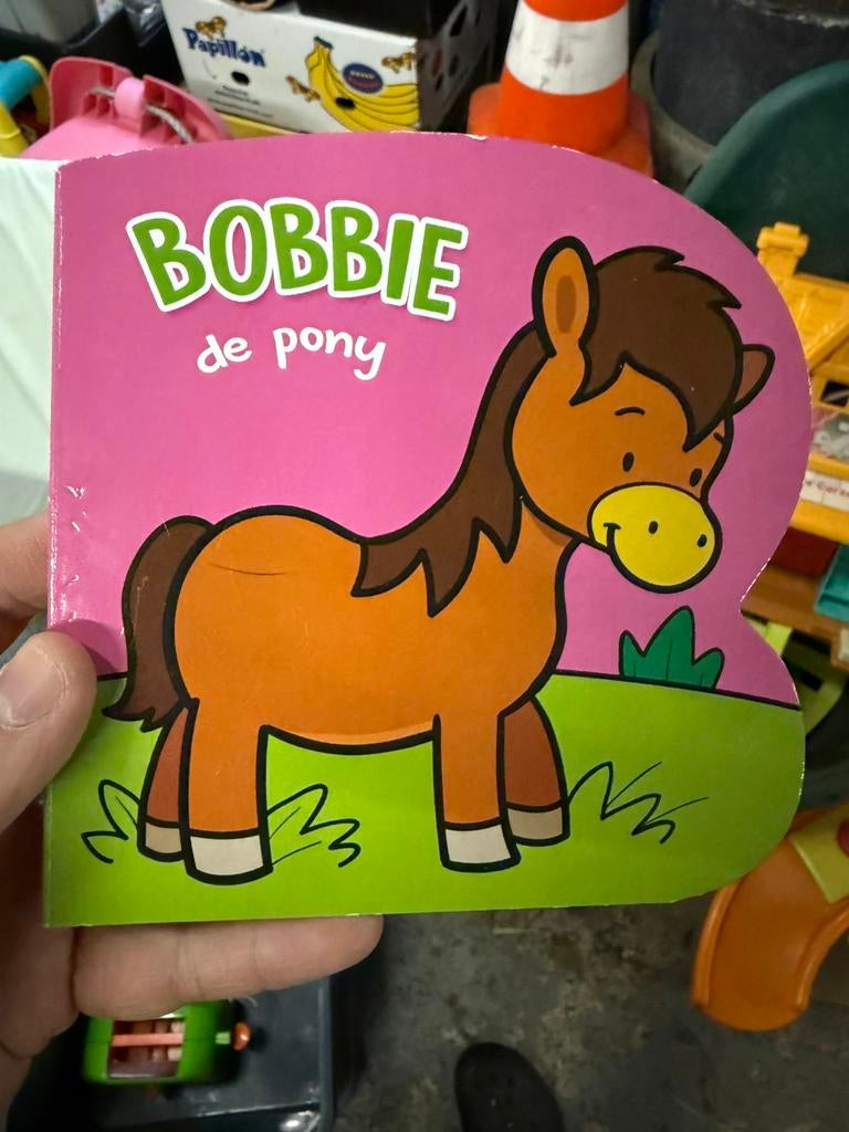 Boekje Bobbie de pony, Boeken, Ophalen of Verzenden, Zo goed als nieuw