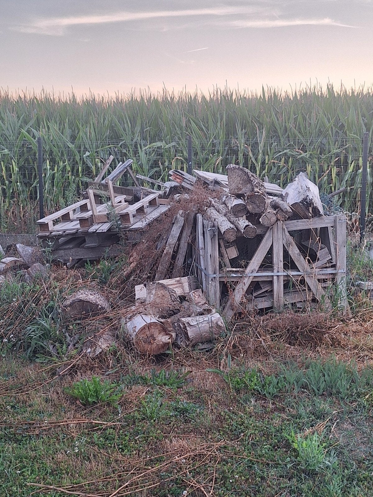 Gratis hout, Tuin en Terras, Brandhout, Ophalen