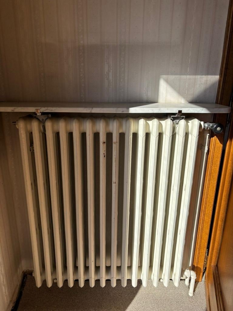 Gietijzeren chauffages te koop door verbouwing. Versch maten, Doe-het-zelf en Bouw, Verwarming en Radiatoren, Ophalen, Gebruikt