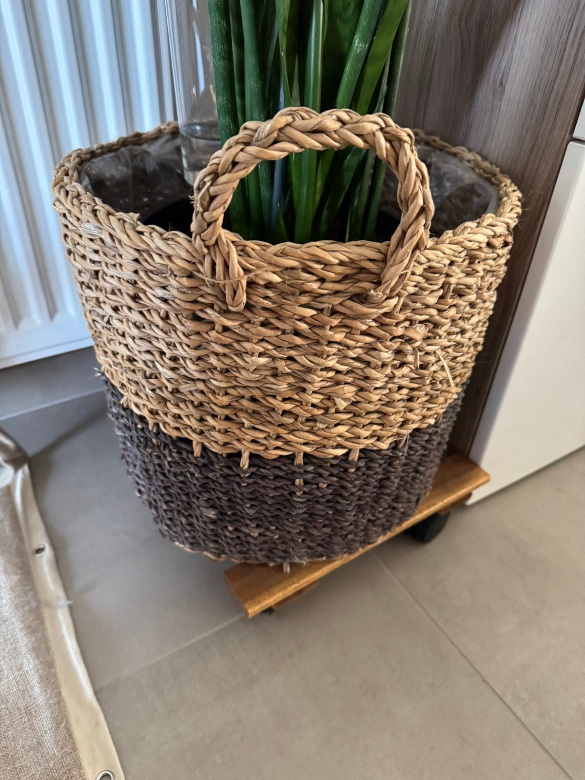 Mand voor plant met plastic in, Ophalen, Zo goed als nieuw