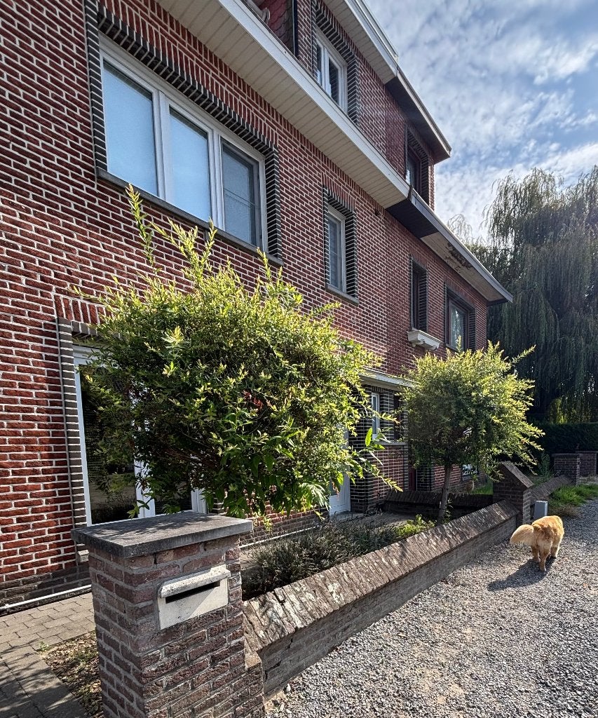2 bomen, Ophalen of Verzenden