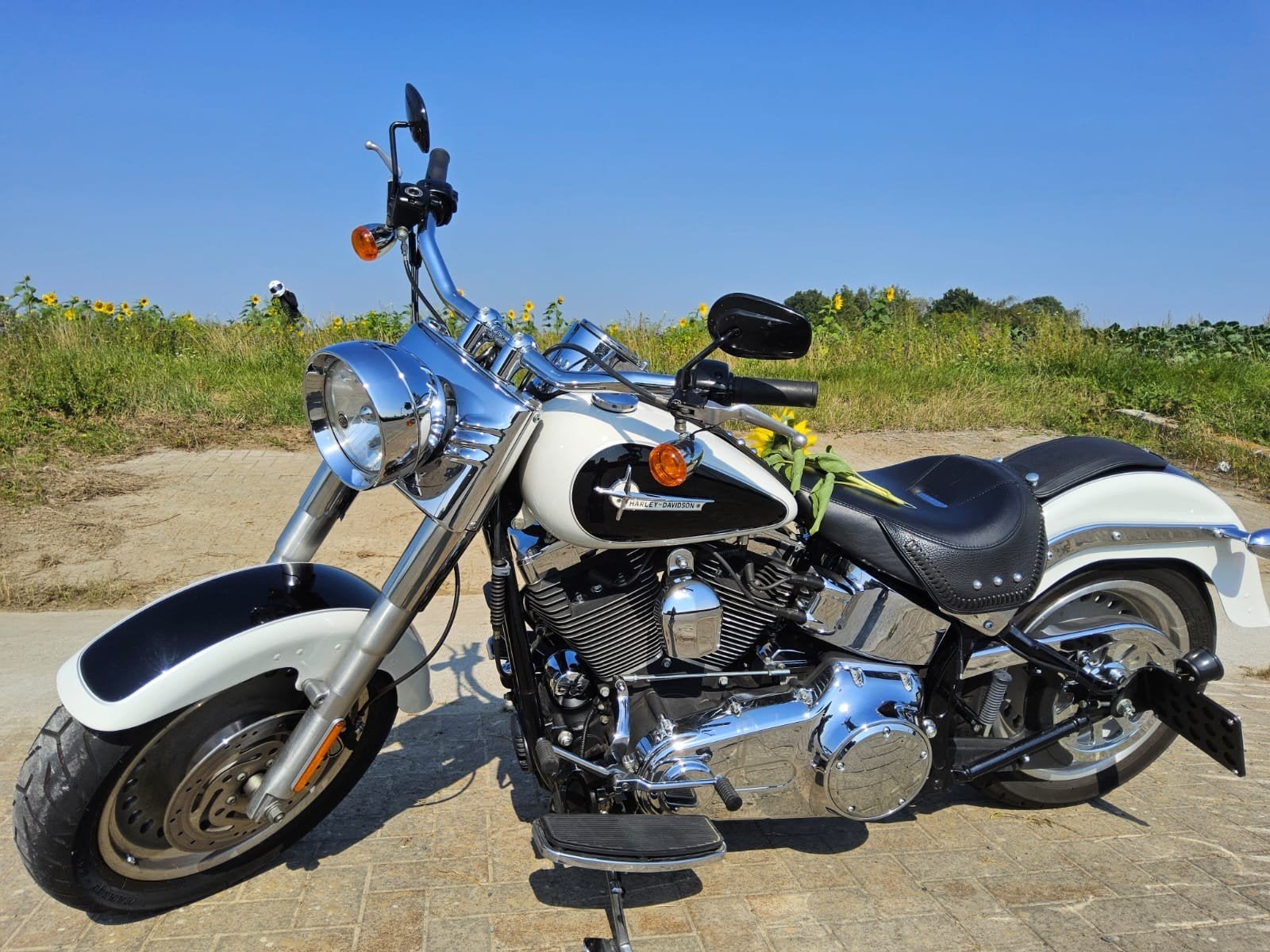 Harley Davidson Fatboy, Motoren, Motoren | Harley-Davidson, 2 cilinders, Gebruikt, Particulier, Meer dan 35 kW