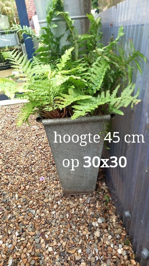 bloembakken 4 voor 20€, Ophalen