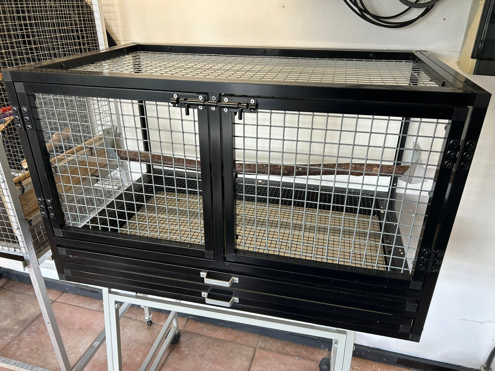 Kooi, Animaux & Accessoires, Perroquet