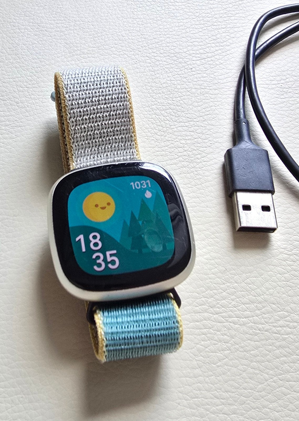 Fitbit Versa 3 Smart Watch sport horloge, Ophalen, Gebruikt, Conditie, Fitbit