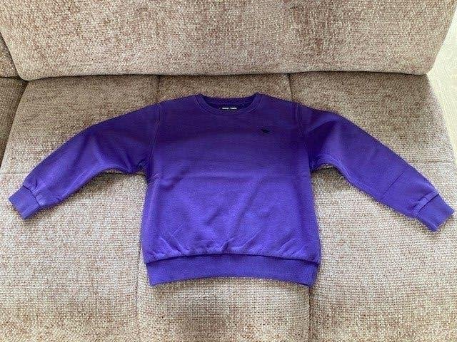 Paarse sweater met dinologo Next 122 cm, Gebruikt, Jongen of Meisje, Trui of Vest, Ophalen of Verzenden
