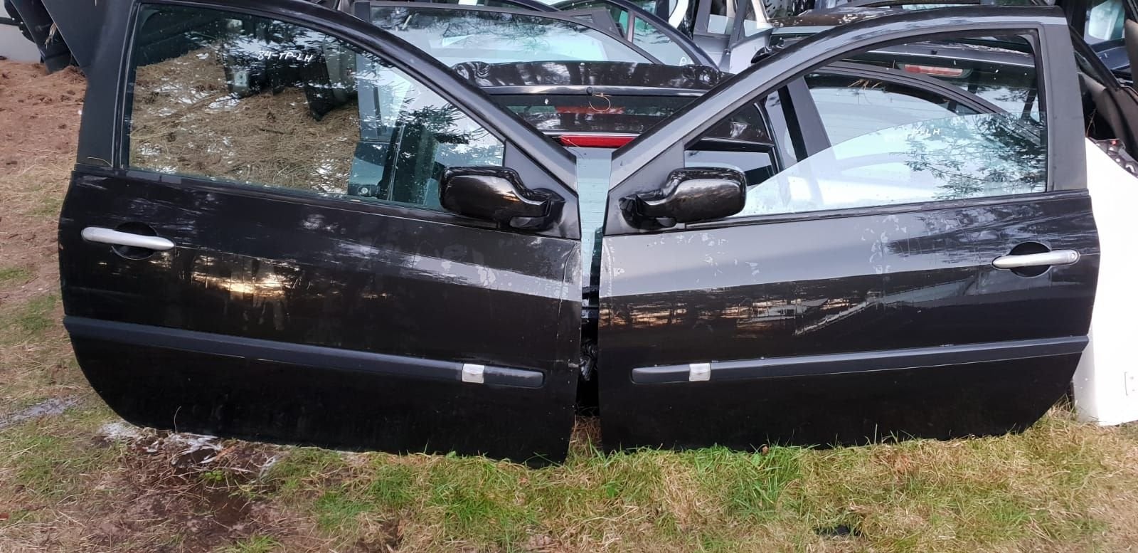 RENAULT CLIO 3 PORTIEREN LINKS+RECHTS BJ 2006 TOT 2011, -, Utilisé, Porte, -
