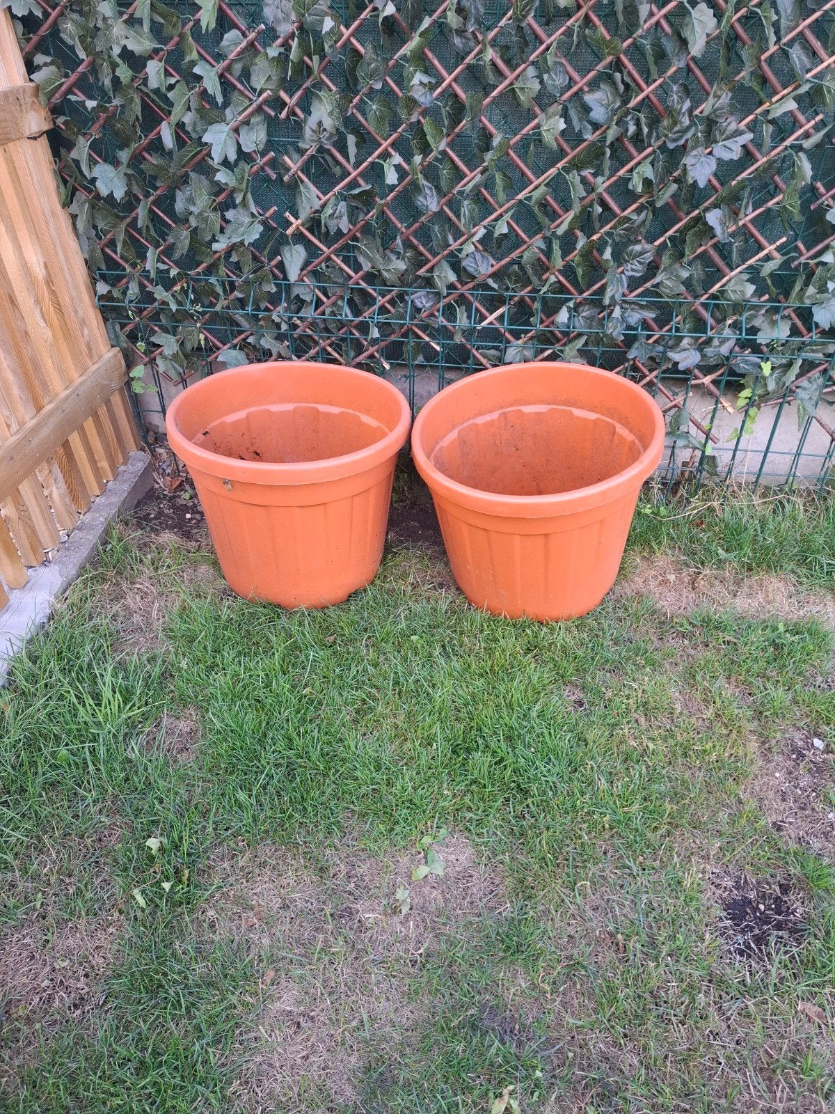 taille des pots en terre cuite, Jardin & Terrasse, Enlèvement