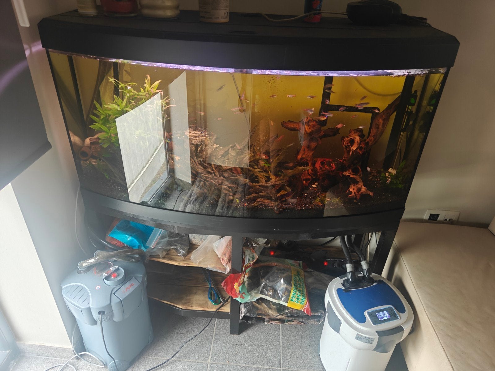 grote gebogen aquarium  350 liter, Dieren en Toebehoren, Ophalen, Pomp