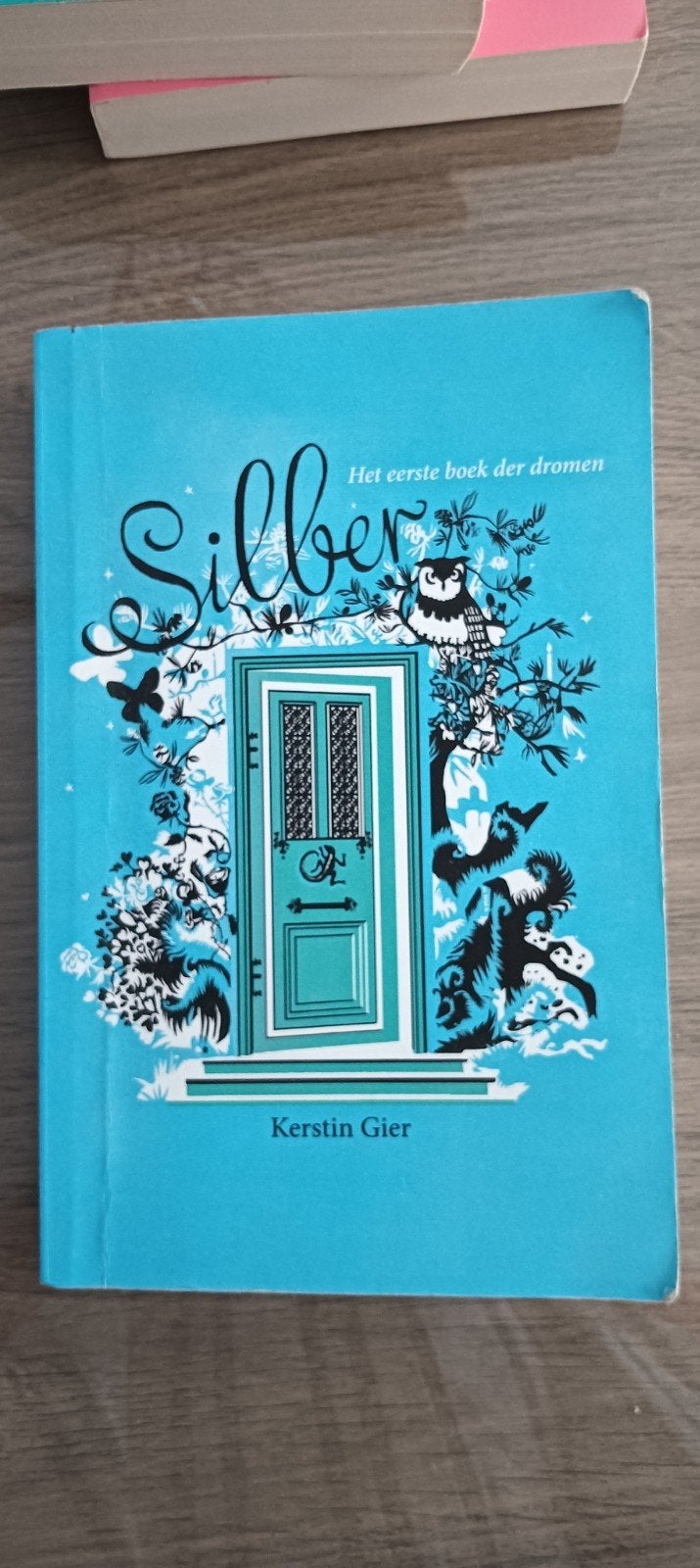 Kerstin Gier - Silber, Boeken, Ophalen, Kerstin Gier
