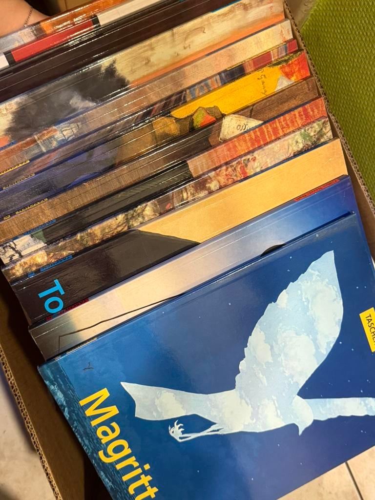 Set van 14 monografieën van grote schilders, TASCHEN, Ophalen of Verzenden, Zo goed als nieuw, Schilder- en Tekenkunst