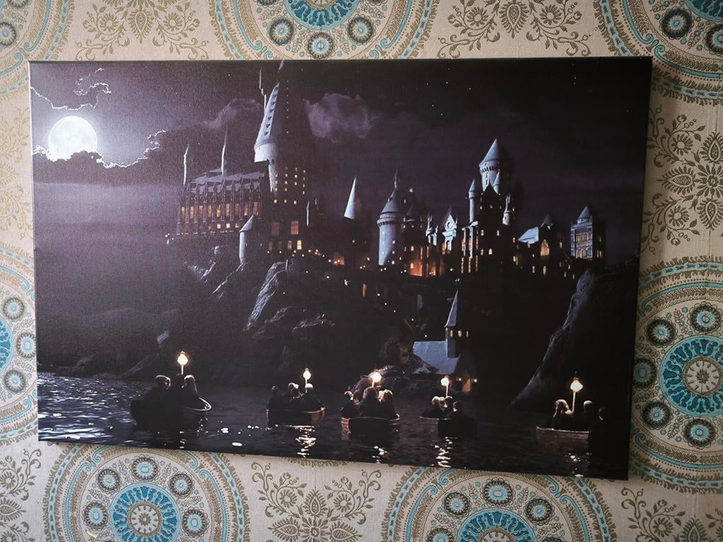 Frame met Harry Potter-print, Antiek en Kunst, Ophalen