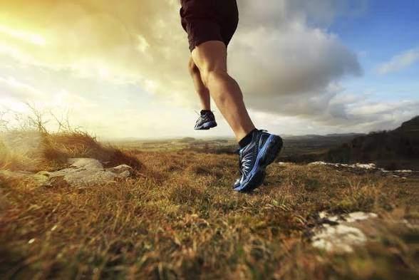 Cherche 2 dossards 20 kilomètres Bruxelles 2026, Sport en Fitness, Overige Sport en Fitness, Ophalen, Nieuw