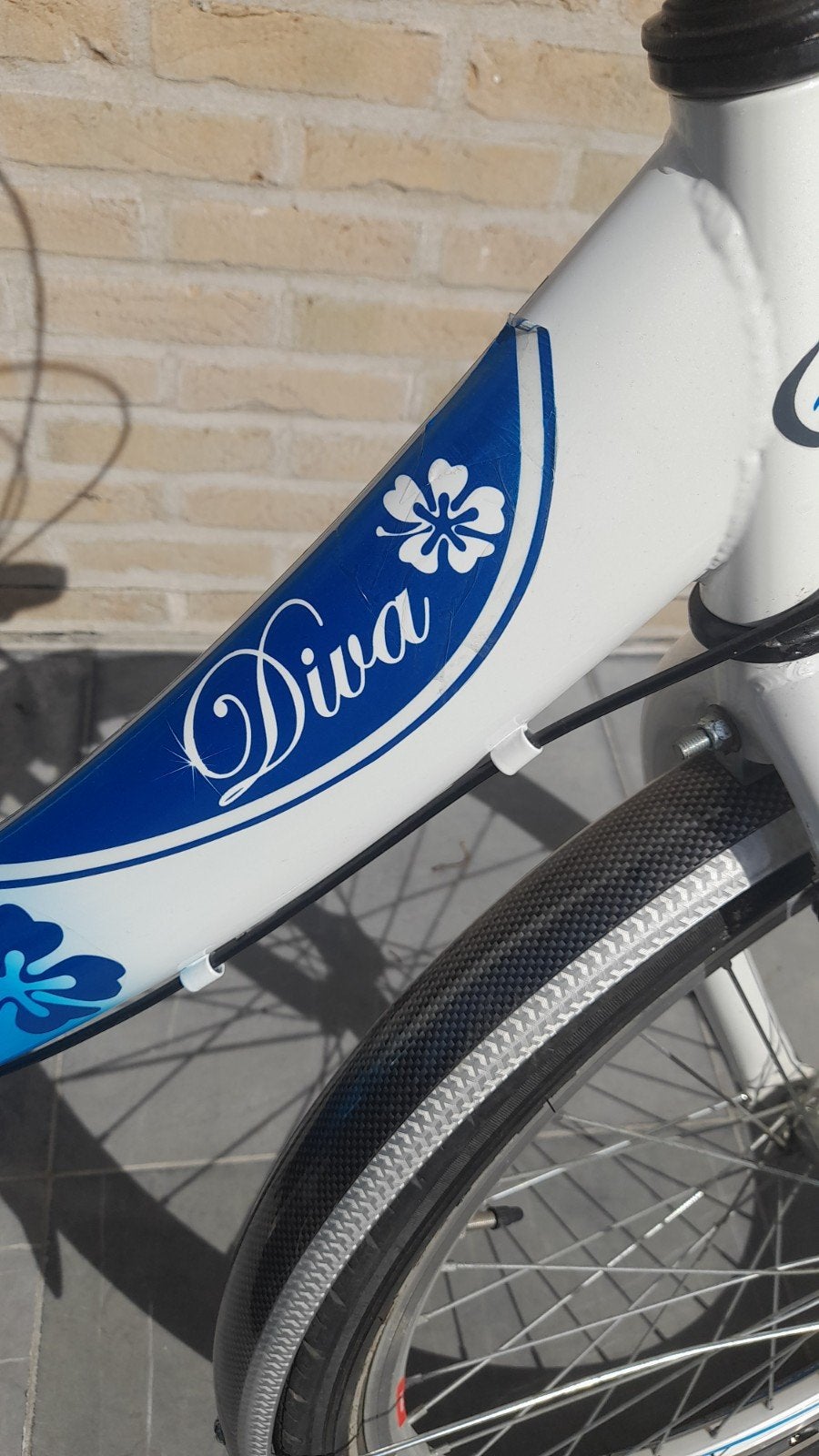 Wings Diva meisjes fiets
24 inch banden
Versnellingen Revosh, Ophalen