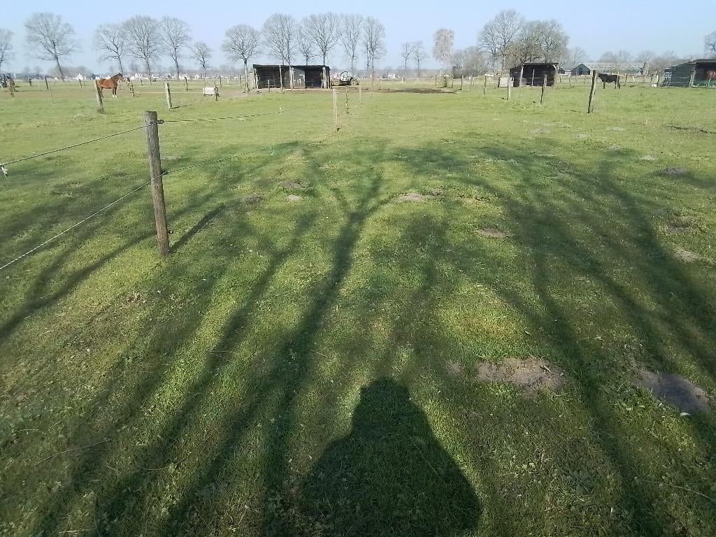 Weide te huur, Dieren en Toebehoren, Stalling en Weidegang