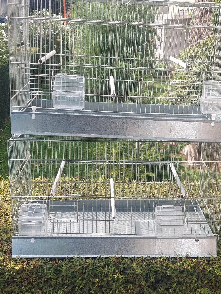Cages oiseaux, Enlèvement