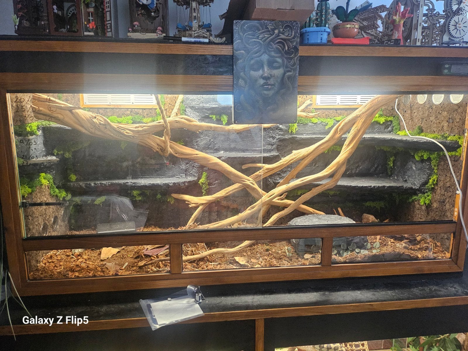 Terrarium, Animaux & Accessoires, Enlèvement