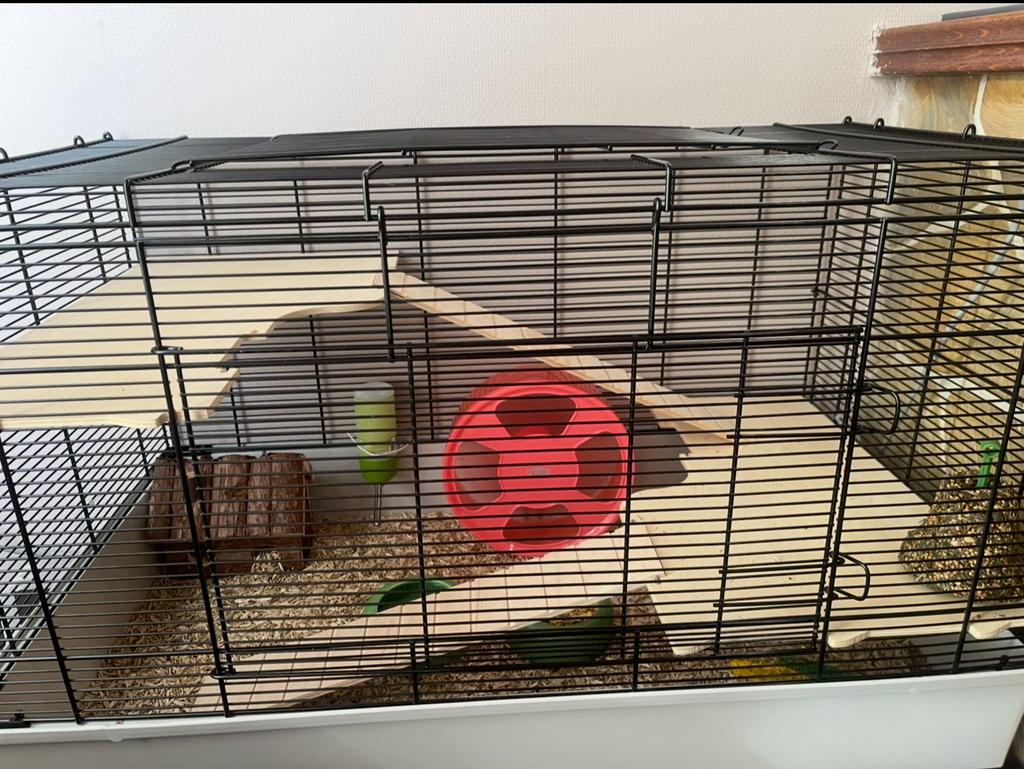 Hamster verblijf, Dieren en Toebehoren, Ophalen, Zo goed als nieuw, Hamster